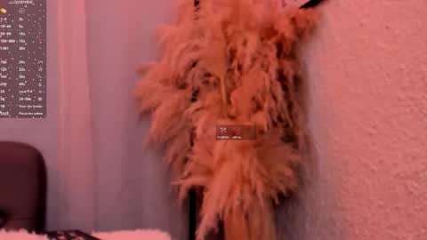 Snapshot of gracehall chatting on 11/04/25, 12:04 Grace online show from 11/04/25, 12:04