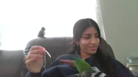 Snapshot of greencheek0 chatting on 11/11/25, 03:12 greencheek0 online show from 11/11/25, 03:12