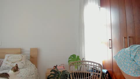 Snapshot of grettabenett_ chatting on 12/11/24, 06:42 Gretta online show from 12/11/24, 06:42