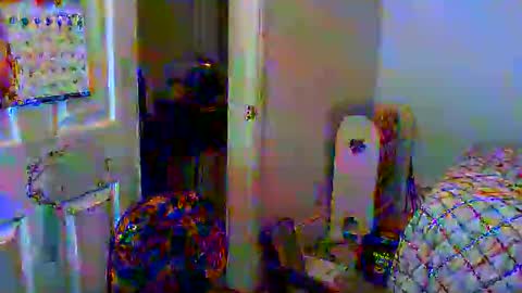 Snapshot of gtnolder60 chatting on 01/06/25, 11:29 Gary online show from 01/06/25, 11:29