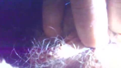 Snapshot of hagridthehorrible chatting on 11/01/25, 11:23 hagridthehorrible online show from 11/01/25, 11:23