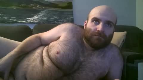 Snapshot of hairiestbear chatting on 01/20/25, 03:59 Hairiest Bear online show from 01/20/25, 03:59
