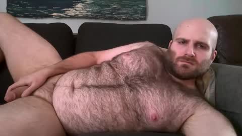Snapshot of hairiestbear chatting on 02/11/25, 04:02 Hairiest Bear online show from 02/11/25, 04:02