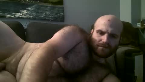 Snapshot of hairiestbear chatting on 03/02/25, 08:16 Hairiest Bear online show from 03/02/25, 08:16