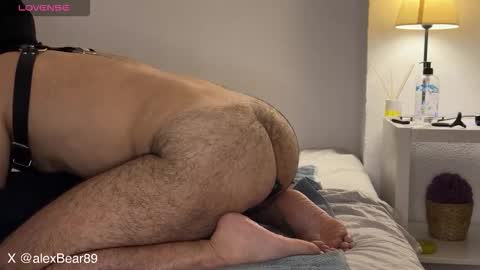 Snapshot of hairyarabbear chatting on 09/13/25, 11:59 hairyarabbear online show from 09/13/25, 11:59