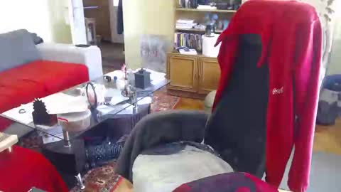 Puppy3 StockyDaddiesmusclebearsbeefybigmans online show from 02/15/25, 12:01