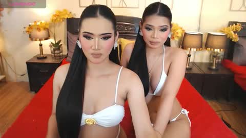 Snapshot of haisleypalmer chatting on 10/08/25, 08:23 YOUR SIDECHIC HAILEY online show from 10/08/25, 08:23