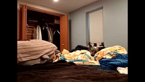 Snapshot of handsomedaddy198923 chatting on 10/20/25, 07:36 handsomedaddy198923 online show from 10/20/25, 07:36