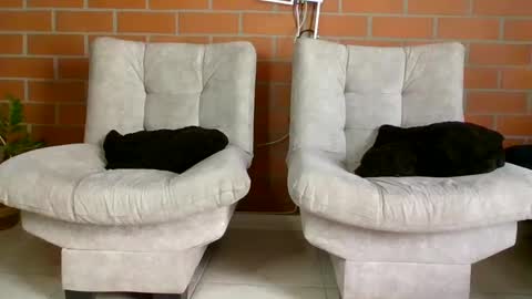 hanna online show from 01/20/25, 06:32