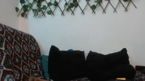 SARA  online show from 01/12/25, 04:00