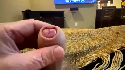 Snapshot of happygerman68 chatting on 10/24/25, 12:30 happygerman68 online show from 10/24/25, 12:30