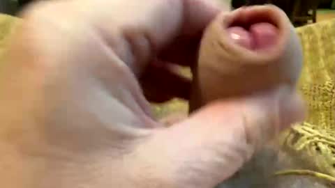 Snapshot of happygerman68 chatting on 10/27/25, 09:30 happygerman68 online show from 10/27/25, 09:30