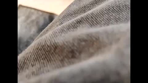 hardandhorny422 online show from 10/30/25, 11:55