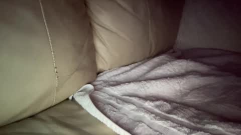 Snapshot of hardcock2622 chatting on 12/20/24, 07:44 Slim West Cox online show from 12/20/24, 07:44