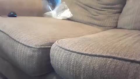 Snapshot of hardcock2share chatting on 02/04/25, 10:55 hardcock2share online show from 02/04/25, 10:55