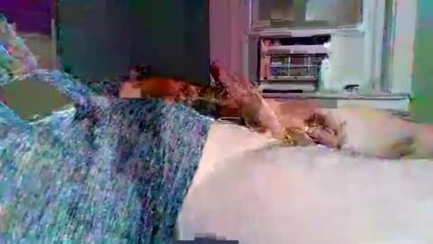 cervixpainter25 online show from 11/03/25, 02:02