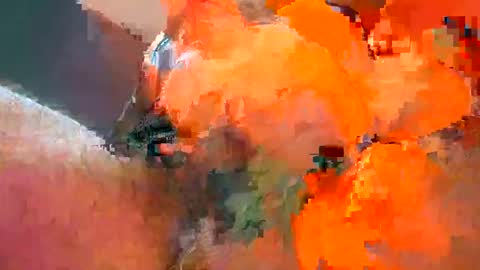 Iordan online show from 02/02/25, 06:31