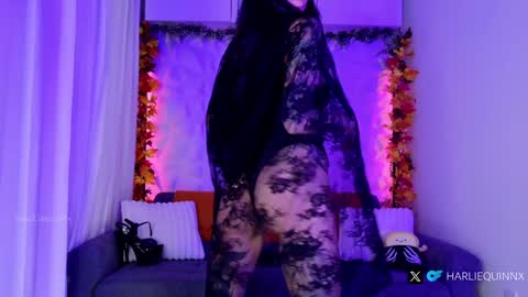 Harliequinnx - Schedule Below Exxxotica DC Dec 6-8th online show from 10/31/25, 01:28