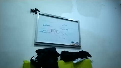 harrybad55 online show from 11/25/25, 04:45