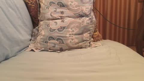 havedream1m online show from 10/13/25, 09:42