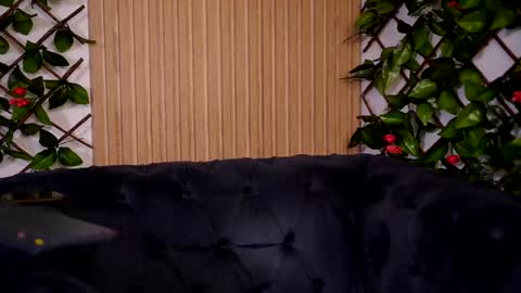 Haylie online show from 12/22/24, 02:38