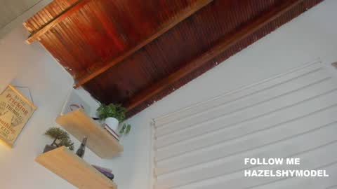 Im Hazel online show from 12/13/24, 02:43