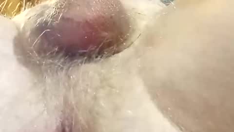 Snapshot of hcross2448 chatting on 02/22/25, 03:01 hcross2448 online show from 02/22/25, 03:01