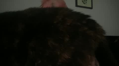 Snapshot of hell0kittyblood chatting on 03/02/25, 02:32 Bunnie Rotz online show from 03/02/25, 02:32