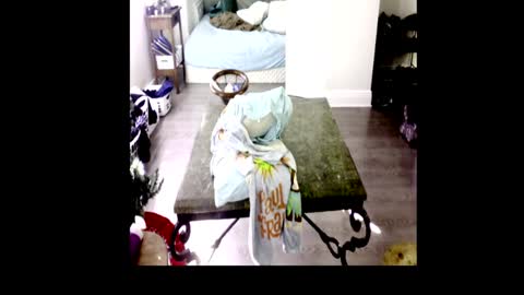 HenryFlapper online show from 01/04/25, 07:44