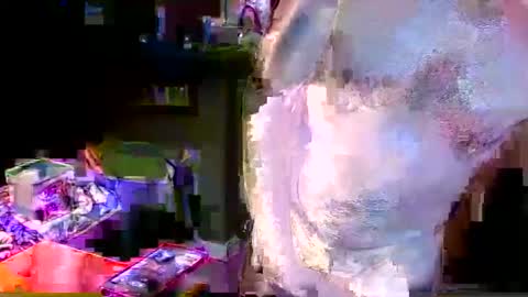 Snapshot of herb60657 chatting on 11/04/25, 01:54 herb60657 online show from 11/04/25, 01:54