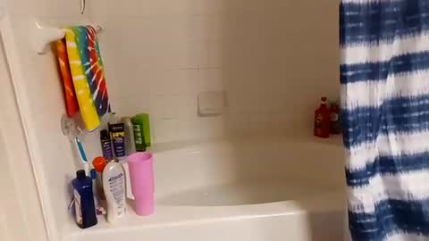 hippydippychick online show from 11/13/25, 07:18