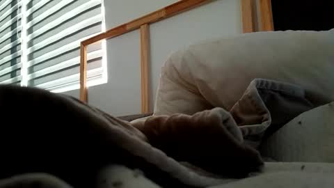 Fucker online show from 11/06/25, 12:17