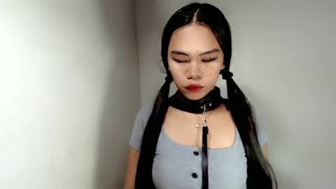 hollyhalo online show from 11/24/25, 06:46