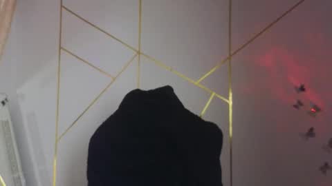 Snapshot of hollyxx_ chatting on 11/10/25, 03:11 holly online show from 11/10/25, 03:11