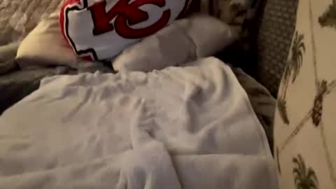 homenewdcammer online show from 10/02/25, 03:35