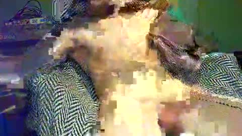 Snapshot of hornycocxxx chatting on 03/09/25, 01:14 hornycocxxx online show from 03/09/25, 01:14