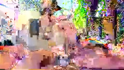 Snapshot of hornyhotgy27 chatting on 12/06/24, 09:46 hornyhotgy27 online show from 12/06/24, 09:46