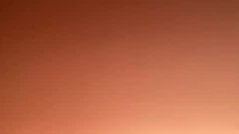 Marcus  Tatti  online show from 02/20/25, 04:57