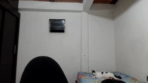 angels online show from 11/23/25, 05:40