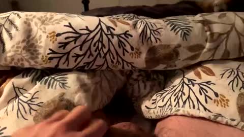 hot_for_you_ online show from 10/18/25, 12:57