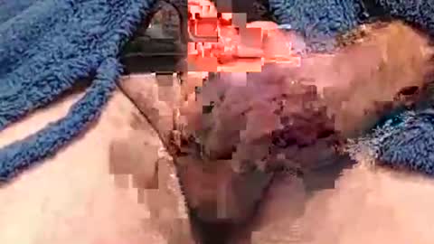 Snapshot of hotcam50 chatting on 12/07/24, 04:25 Hotcam50 online show from 12/07/24, 04:25
