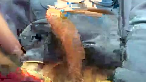 Snapshot of hotdick4200 chatting on 11/19/25, 06:24 hotdick4200 online show from 11/19/25, 06:24