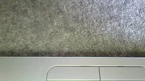 hotmuff99 online show from 11/10/25, 08:46