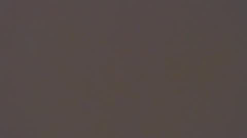 dada11 online show from 11/22/25, 08:13