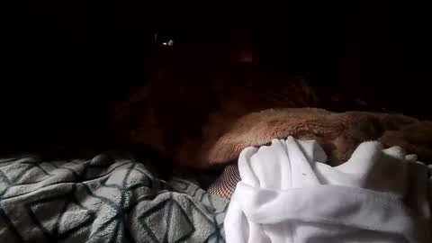 houndmefromhell online show from 12/25/24, 04:22