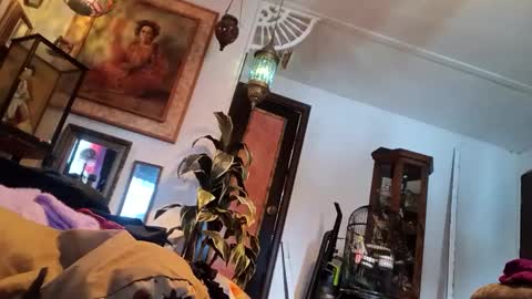 houndmefromhell online show from 03/05/25, 09:59