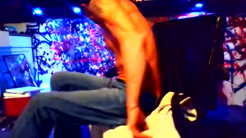 Snapshot of howbowdadareboy33 chatting on 02/12/25, 12:22 ask me online show from 02/12/25, 12:22