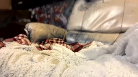 Snapshot of howbowdadareboy33 chatting on 10/11/25, 03:06 ask me online show from 10/11/25, 03:06