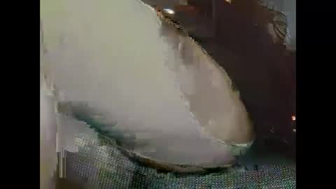 hujiajia520321431 online show from 11/19/25, 10:59