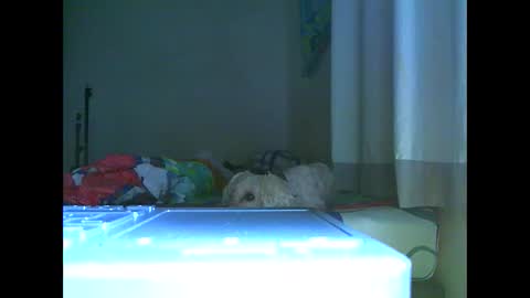 Ian is back my loves online show from 11/07/25, 07:03